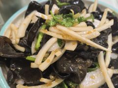 -陶然饺子城(奥体中路店)