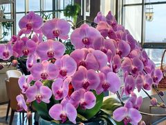 -北京希尔顿逸林酒店