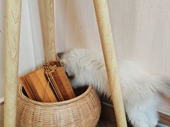 -楼上猫咖(罗湖店)