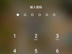 榴莲酥-思味贝卡(新华舍店)