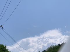 -五龙城郊森林公园
