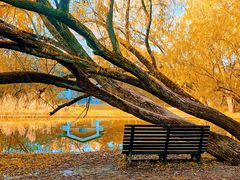 -上海共青森林公园