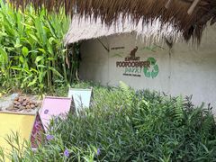 -大象粑粑造纸公园