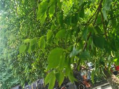 -江墅铁路遗址公园