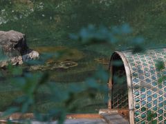 -黄公望隐居地