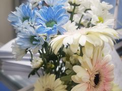 -循礼门鲜花花市(武汉循礼门店)