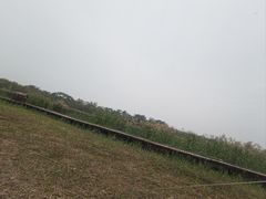 -西青郊野公园