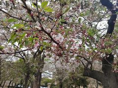 -帝京日语(春熙路旗舰校区)