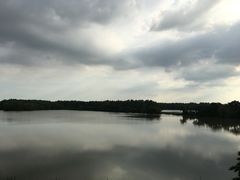 -大湾区中央湿地公园
