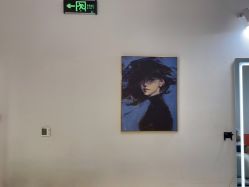 -飞梵造型