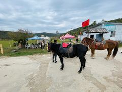 -关山草原