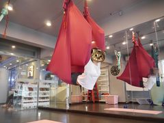 空中瑜伽-舞佳舞空中瑜伽馆