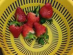 -东方鼎信农副产品交易中心