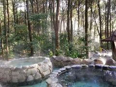 -金方森林温泉