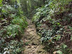 -午潮山国家森林公园