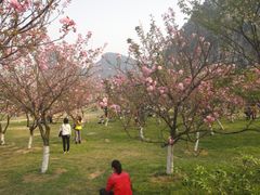 -南溪山景区