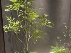 -梁溪河畔·吉府花园(南长街南下塘店)