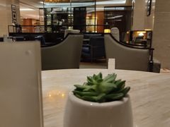 大堂-新发展亚太JW万豪酒店大堂吧