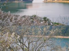 -广州市流溪河国家森林公园