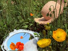 -名花谷生态庄园