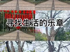 -广西壮族自治区药用植物园