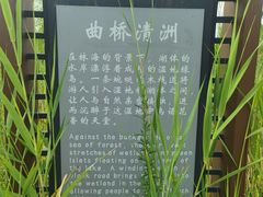 -马家湾湿地公园