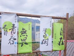 -南山特攻真人CS户外露营轰趴拓展基地