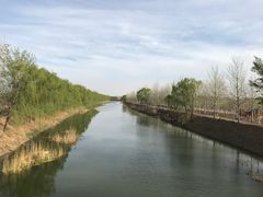 -东郊湿地公园
