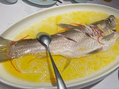 -森隆饭庄(崇文门新世界百货店)