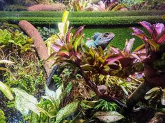 -上海海洋水族馆