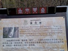 -卡定沟景区