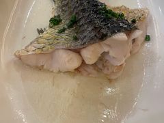 -百乐门喜宴(海珠广场华厦店)