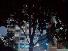 -深圳君悦酒店-游泳池
