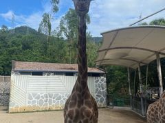 -泉州海丝野生动物世界