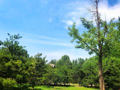 景点-朝阳公园
