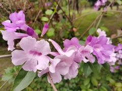 -瑶王府·广西菜(茶花园店)