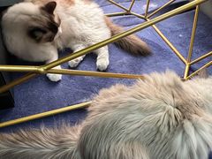 -零纪元VR体验馆·桌游(黄浦店)