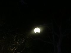 -小龙坎火锅(湖滨银泰in77店)
