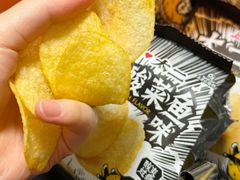 -岭南站NOVA