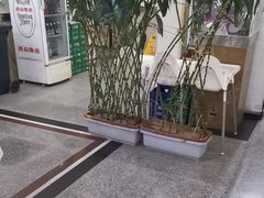 -九头鸟酒家(东高地店)