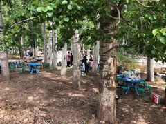 -尚庄度假村·庭台树下·户外烧烤·团建CS·轰趴营地(上庄水库店)