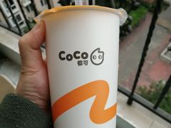 绿茶养乐多-CoCo都可(西安路民勇店)
