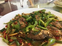 -生态苑农庄(十里画廊遇龙河店)