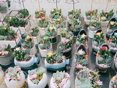 -双季花艺园艺市场(浦东店)