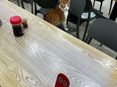 -珊珊小笼馆(仙霞路店)