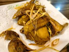 -渔意坊·千层无骨鱼粥底火锅·20年顺德菜(普君店)