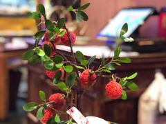妃子笑-长安大牌档之西安博物院文化餐厅(中贸店)