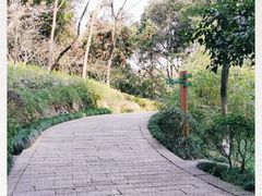 -杭州半山国家森林公园