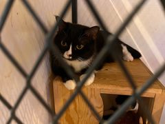 -么么咖啡(燕郊店)