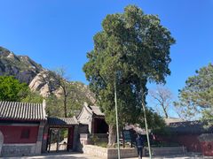 -北京凤凰岭